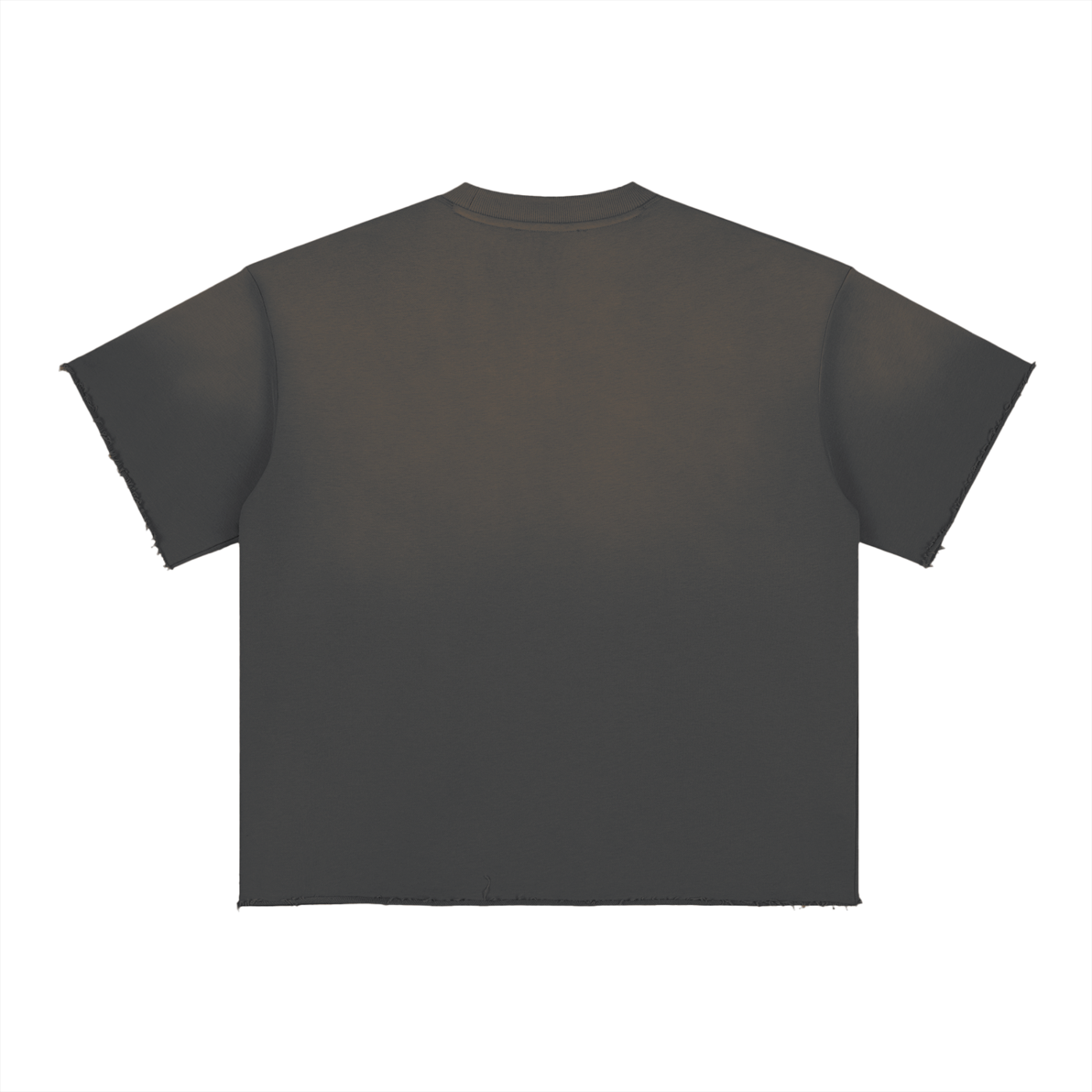 Maison Halle Sun Fade Raw Edge T-Shirt
